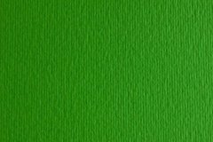 Бумага для дизайна Elle Erre B1, 70x100 см, №11 verde, 220 г/м2, зеленая, две текстуры, Fabriano