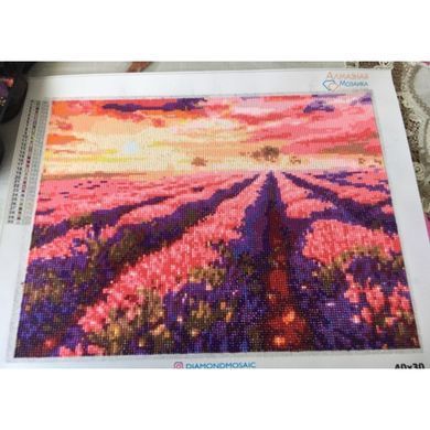 Алмазна мозаїка Лавандове Поле 40x30 см