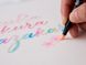 Набір маркерів Koi Coloring Brush Pen, Portrait, 6 шт, Sakura 8712079448714 зображення 9 з 10