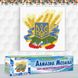 Алмазная вышивка Герб Украины 28x30 см DM-057 фото 2 с 4