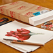 Бумага для рисования ST'ART Drawing Paper, 50x65 см, 240 г/м2, Fabriano 8001348211341 фото 1 с 2
