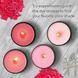 Краситель CANDLE SHOP, СВЕТЛО-РОЗОВЫЙ, для изготовления свечей, хлопья, 57 г., Alexes PM-SB-015 фото 3 с 6