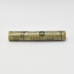 Суха пастель Sennelier "A L'écu" Olive Grey №453