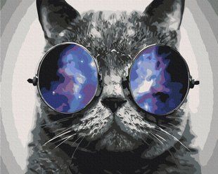 Картина по номерам Котик на Майами, 48х60 см, Brushme