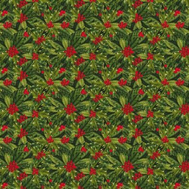 Набір паперу для скрапбукінгу Winter botanical diary, 20x20 см, 200 г/м&sup2;, двосторонній, 10 аркушів, Fabrika Decoru