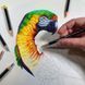 Набор цветных карандашей Chromaflow, металлическая коробка, 48 штук, Derwent 5028252627511 фото 7 с 30