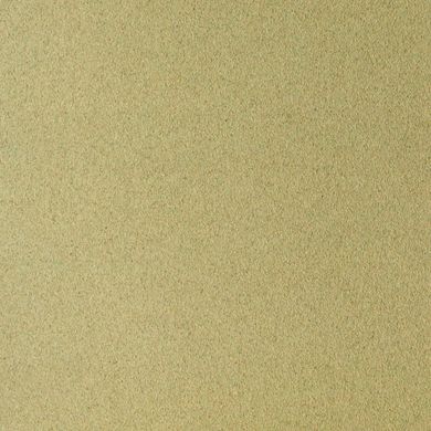 Бумага для пастели Sennelier с абразивным покрытием, 360 г/м², 50х65 см, лист, Светло-зеленый 008