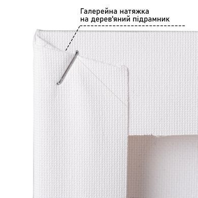 Полотно трикутне рівнобедрене на підрамнику SANTI 30x30x42 см