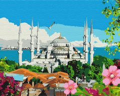 Картина за номерами Літній Стамбул, 40x50 см, Brushme