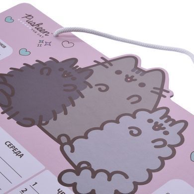 Шкільний розклад Yes Pusheen, картон, ламінований, 30x40 см