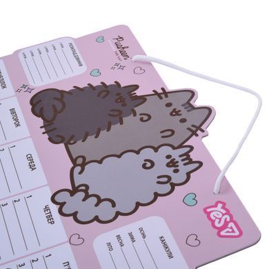 Шкільний розклад Yes Pusheen, картон, ламінований, 30x40 см