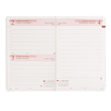 Ежедневник Leo Planner Vector, формат A5, датированный на 2027 год, твердая обложка, бордовый, 368 страниц