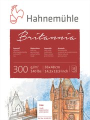Альбом-склейка для акварели Britannia, 36х48 см, 300 г/м², Rough, 12 листов, Hahnemuhle
