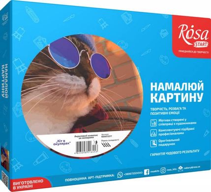 Набір картина за номерами Кіт в окулярах, 35х45см, ROSA START