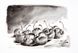 Набір аквареллю Daniel Smith Nicolas Lopez Artist Set 10х5 мл у тубах 285610443 зображення 13 з 14
