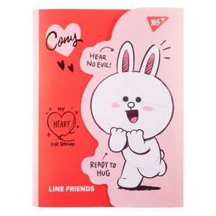 Папка-уголок Line Friends Cony, А4, 2х23х32,5 см, пластиковая, с клапаном на липучке, Yes