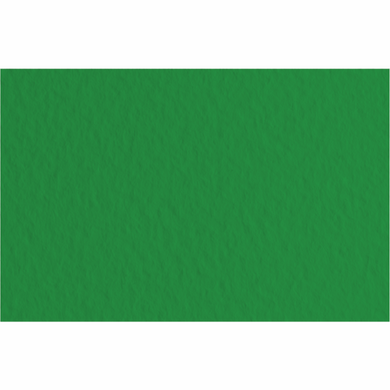 Бумага для пастели Tiziano A3, 29,7x42 см, №37 biliardo, 160 г/м2, зелёная, среднее зерно, Fabriano