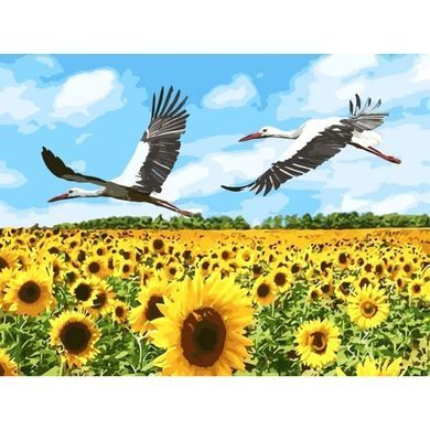 Алмазна вишивка Соняшникове Поле 40x30 см