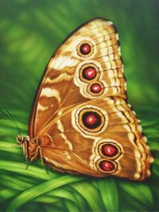 Алмазная вышивка Бабочка Монарх 30х40 см