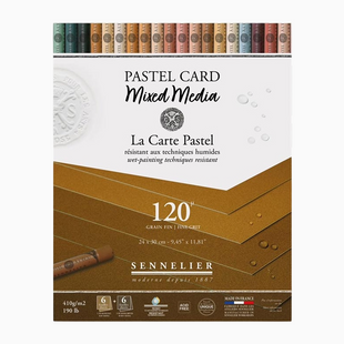 Блок пастельной бумаги Sennelier Pastel Card, 24x30 см, 12 листов, земляные оттенки