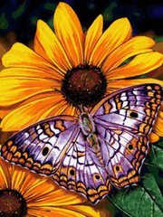 Алмазная вышивка Бабочка На Цветке 30х40 см
