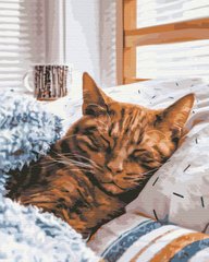 Картина за номерами Ранковий котик, 40х50 см, Brushme