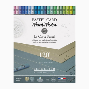 Блок пастельной бумаги Sennelier Pastel Card, 24x30 см, 12 листов, оттенки серого
