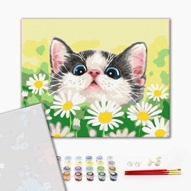 Картина за номерами Кіт у ромашках, 40х50 см, Brushme