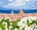 Картина по номерам Цветочная Флоренция, 40x50 см, Brushme BS52640 фото 1 с 2