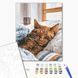 Картина за номерами Ранковий котик, 40х50 см, Brushme BS52320 зображення 2 з 2