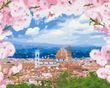 Картина за номерами Флоренція в цвіту, 40x50 см, Brushme