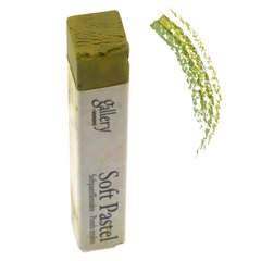 Пастель суха (066) Зелений золотистий, 6 штук, MUNGYO