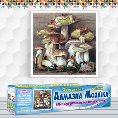 Алмазна вишивка Грибний Натюрморт 40х40 см