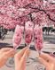 Картина за номерами Весна у келихах ©Оксана Воробей, 40x50 см, Brushme BS53036 зображення 1 з 2