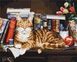 Картина по номерам Кот на книжной полке, 48х60 см, Brushme
