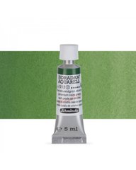 Фарба акварельна Schmincke Horadam 5 мл Chromium Oxide Green 512