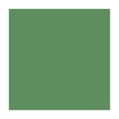 Папір для дизайну Fotokarton A4, 21x29,7 см, 300 г/м2, №53 зелений мох, Folia