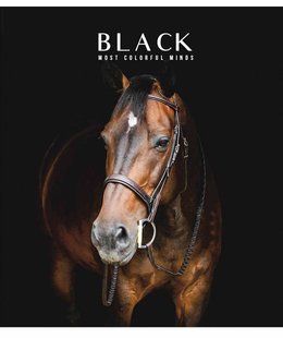 Тетрадь общая Black classic А5, 96 листов в линию, Star