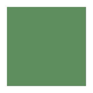 Бумага для дизайна Fotokarton A4, 21x29,7 см, 300 г/м2, №53 зеленый мох, Folia