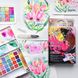 Набор акварели Koi Sketch Box Creative Art Colors, 24 цвета, Sakura 084511316812 фото 10 с 12