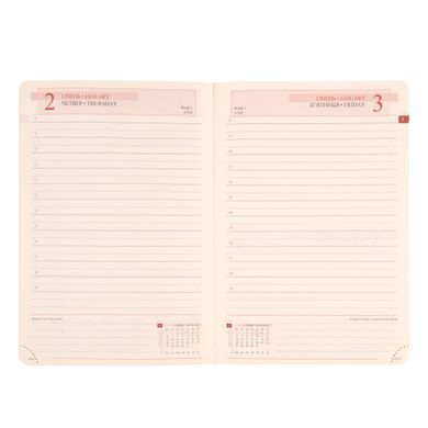 Ежедневник А5 Leo Planner датированный 2025 Liberty, синий, 368 страниц