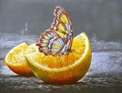 Алмазная вышивка Бабочка На Апельсине 40х30 см
