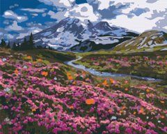 Картина за номерами Альпійський луг, 40x50 см, Brushme