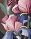 Картина по номерам Петушки &copy; Yana Biluhina, 40x50 см, Brushme BS53760 фото 1 с 2