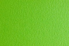 Бумага для дизайна Elle Erre А4, 21x29,7 см, №10 verde picello, 220 г/м2, салатовая, две текстуры, Fabriano