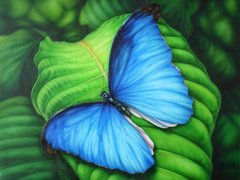 Алмазна вишивка Синій Метелик 40х30 см