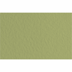 Бумага для пастели Tiziano B2, 50x70 см, №14 muschio, 160 г/м2, оливковая, среднее зерно, Fabriano