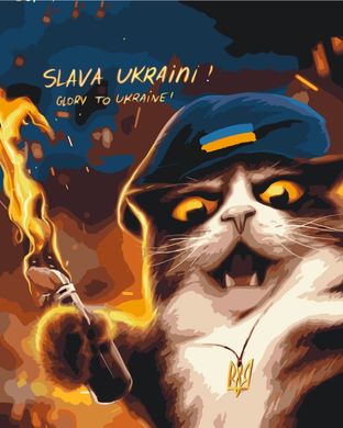 Картина по номерам Котик повстанец, Марианна Пащук, 40x50 см, Brushme