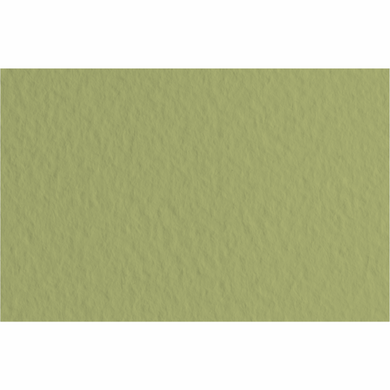 Бумага для пастели Tiziano B2, 50x70 см, №14 muschio, 160 г/м2, оливковая, среднее зерно, Fabriano