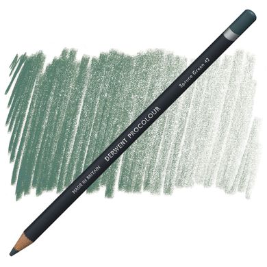 Олівець кольоровий Procolour, (42) Зелена хвоя, Derwent